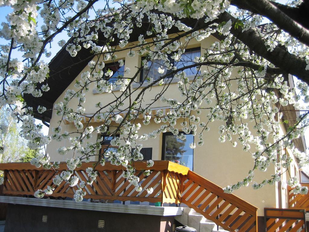 בודפשט St. Michael Apartman מראה חיצוני תמונה